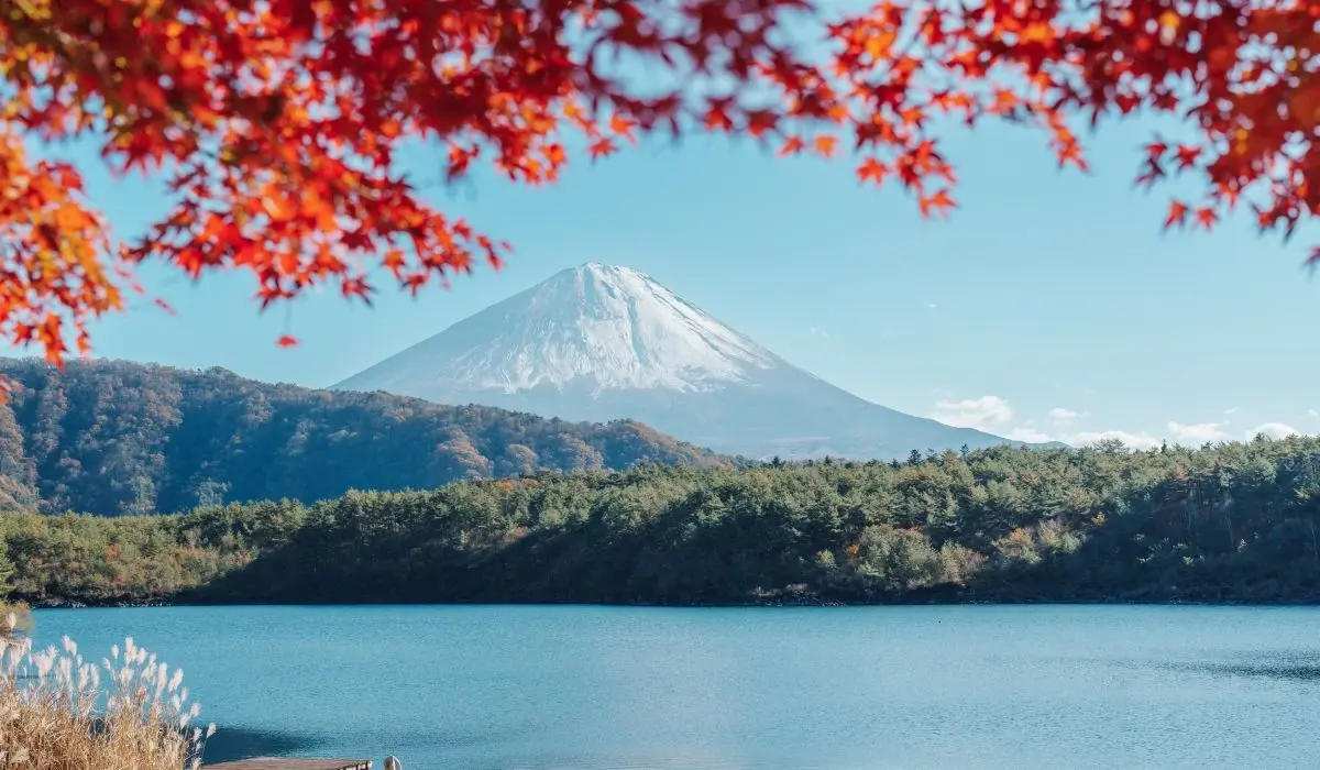 Autumn in Japan: Stunning Leaves and Crisp Air