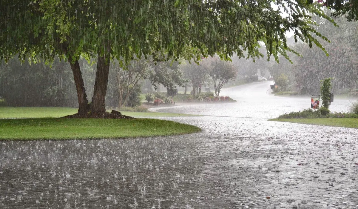 Navigating the Wet Season (November to March)