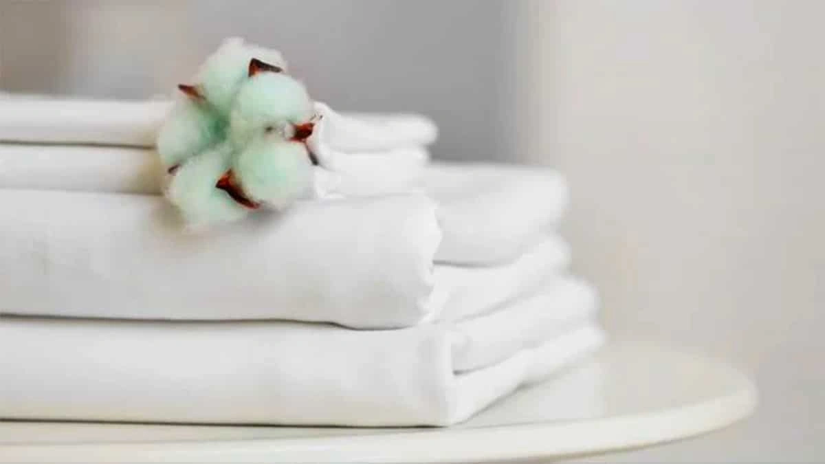 linen vs cotton