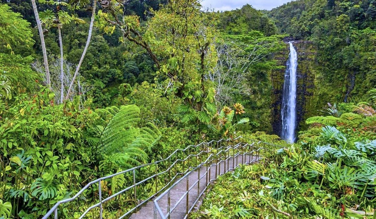 15. Akaka Falls State Park (Big Island)