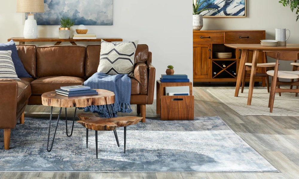 Living Room Rug