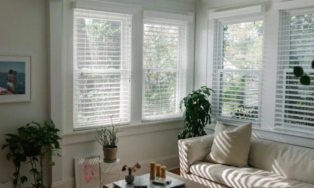 big windows