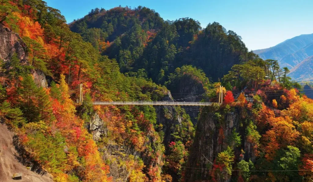 Best Time to Visit Japan by Season