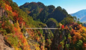 Best Time to Visit Japan by Season